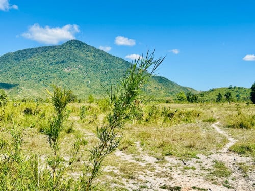 ដីជិតភ្នំជាប់គម្រោងផ្លូវ30ម៉ែត