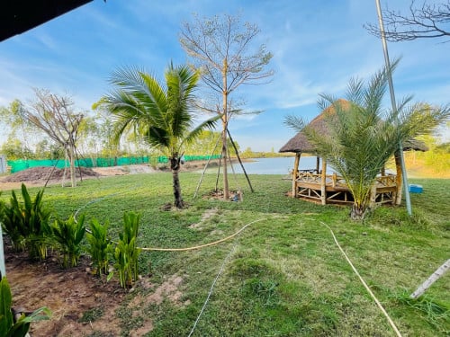 ដីលំហែរលក់នឹងជួលមួយម៉ែតការេ99$