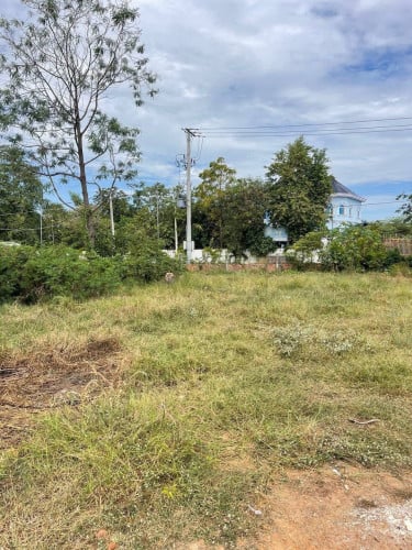แแธแแแ/land for sale