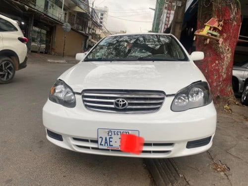 Corolla 03.LE ឡានស្អាតលក់8400$ចចាបាន