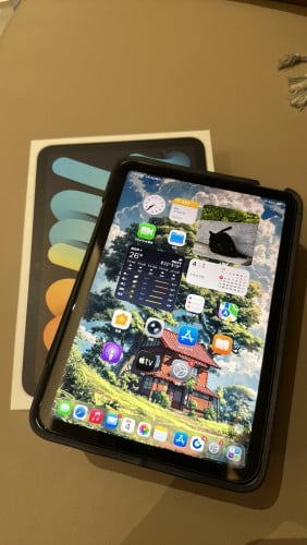 iPad mini6th sim+wifi