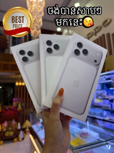 iPhone 17 pro max 256G silver new ZA ( active)