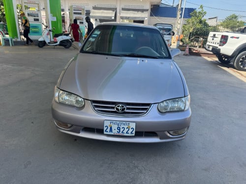 សួរស្តី