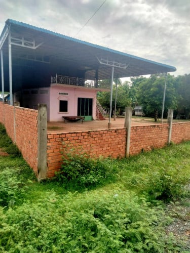 លើឈើក្រោមបេតុង