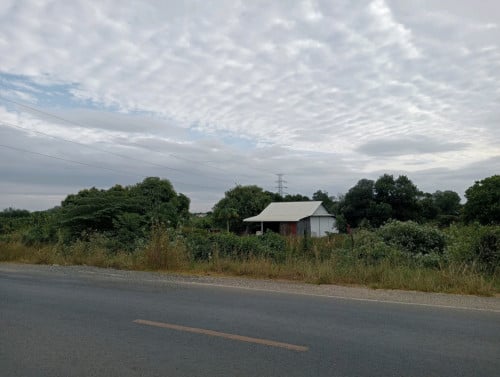 ដីលក់ក្រោមទីផ្សារ