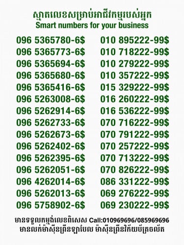 លេខពិសេសសម្រាប់អាជីវកម្ម
