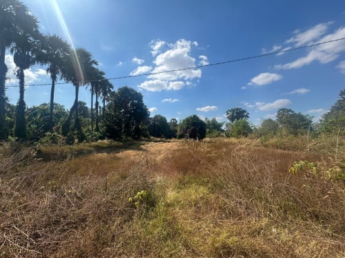 ដីលក់​ នៅជិតផ្លូវប្រលាន​យន្តហោះថ្មី​ 200​ម៉ែត