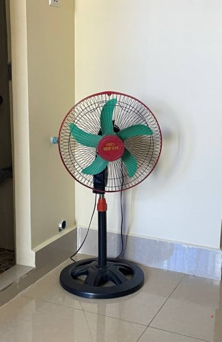 Fan