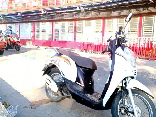 Honda Scoopy