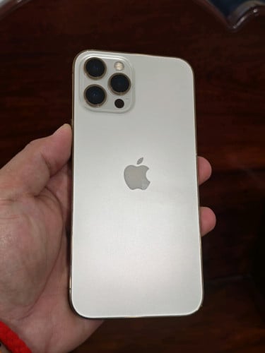 iPhone 12 Pro Max 256G សំណុំដើម១០០%