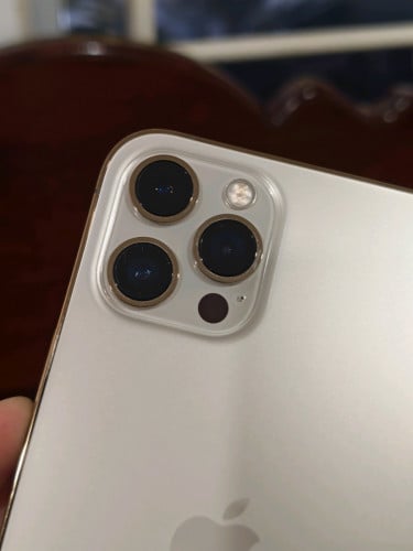 iPhone 12 Pro Max 256G ខ្ចី សំណុំហ្សុីន