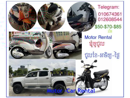 Motor Rental /ម៉ូតូជួល $15 $50 $70 