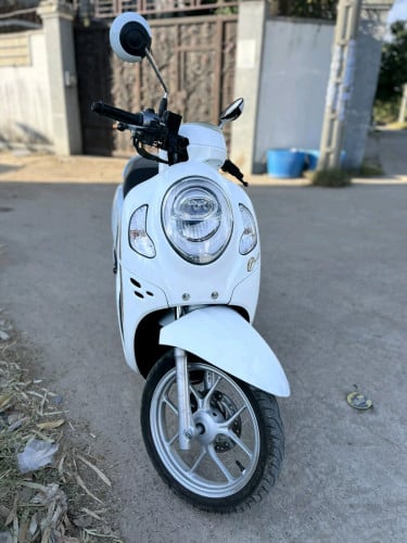 Scooby 021ក្រុមហ៊ុន