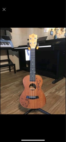 Ukelele (26 inches - used only once)