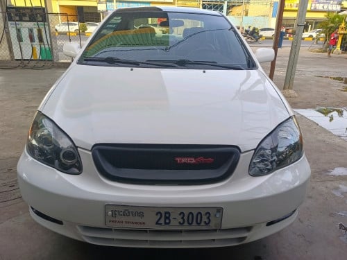 ម្ចាស់ផ្ទាល់