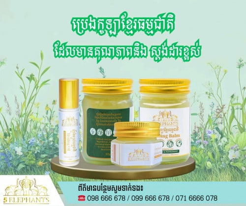 ប្រេងកូឡាសញ្ញាដំរី៥