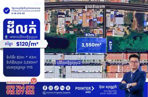 ដីលក់នៅជាប់បុរីពិភពថ្មីគួរស្រូវ2