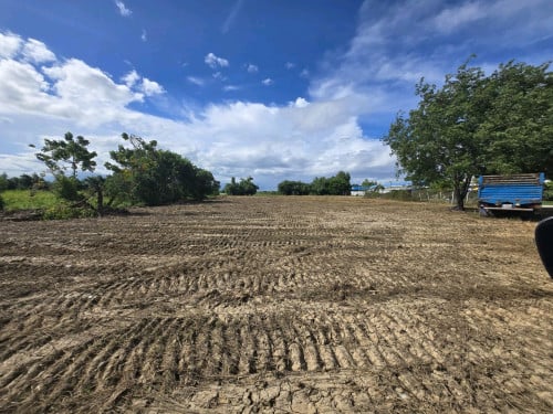 ដីជួល ហ្វ្រីមួយឆ្នាំ ផ្លូវជាតិលេខ5