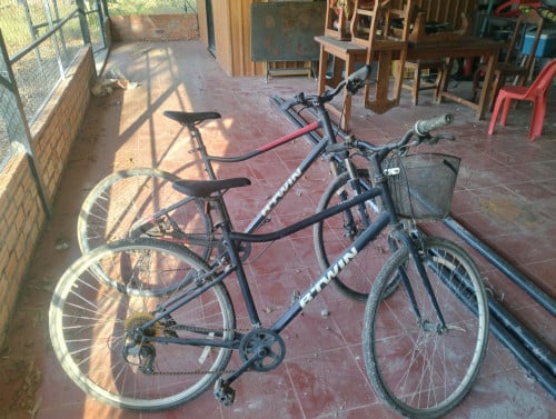 2 bicycle for 200 usd