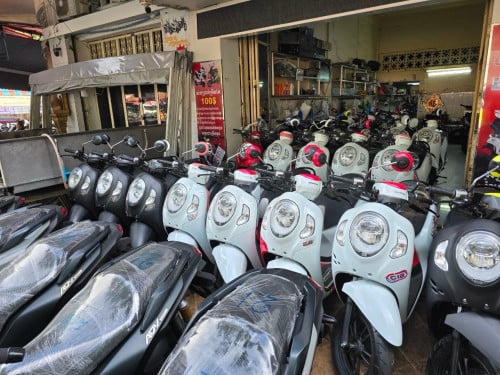 Honda Scoopy Smartkey ក្រដាស់ពន្ធ 2021-2022-2023