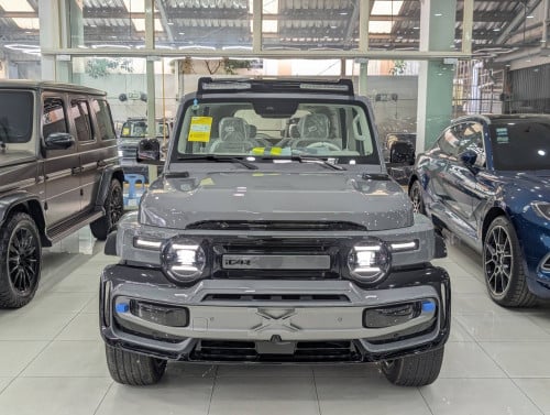 ICAR 23S Cyberspace Edition full option 2025 EV Spec Global