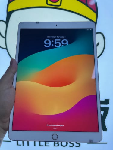 iPad Pro 10.5 2017 256G