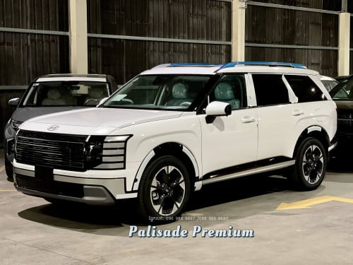 Palisade Premium Option 2026