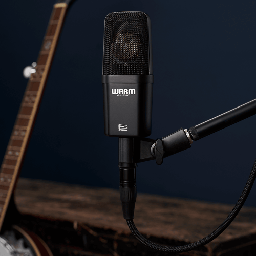 Warm Audio WA-14 Condenser Microphone