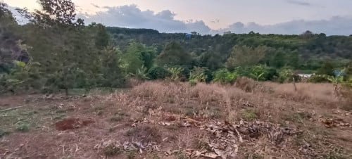 លក់ដីចម្ការនិងគេហដ្ឋាន