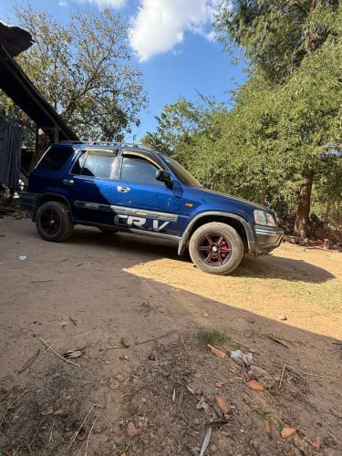 ឡានស្អាតលកប្រញាប់លុយ