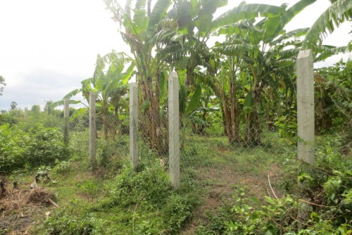 ដីលក់  តំលៃ 13,500$