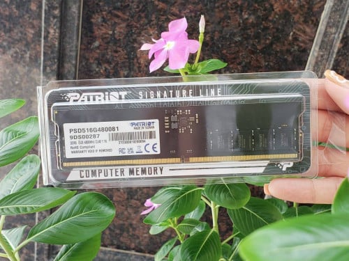 8GB DDR5-4800/Desktops