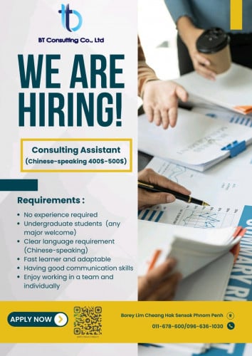 Consulting Assistant (Chinese-speaking )