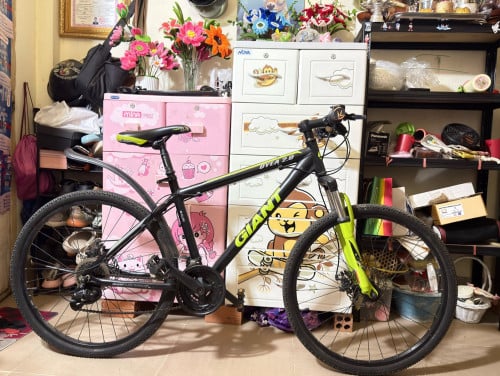 Giant 105$ ចរចារ