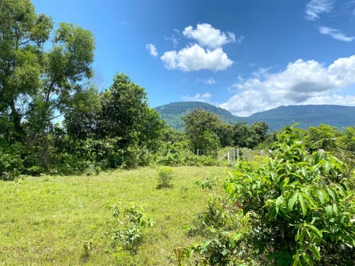 Land For Sale in Kampot - Andoung Khmer Village next to Bali Kampot Resort