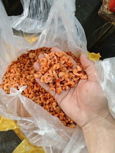 Nature dry shrimp best for soup