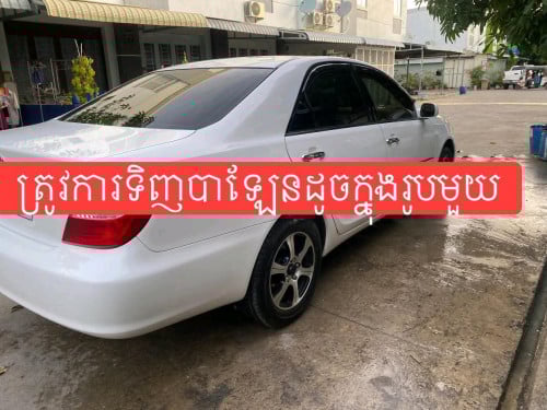 រកទិញបាឡែន