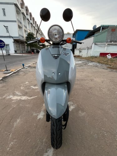 កូនទាជប៉ុន ក្រដាសពន្ធ លក់