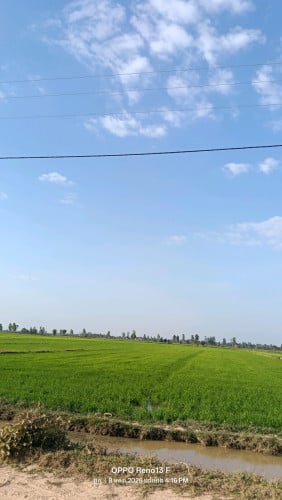 ដីស្រែលក់ចំងាយ330ម៉ែត្រ ពីផ្លូវក្រវាត់ក្រុងទី3ស្រុកពួក