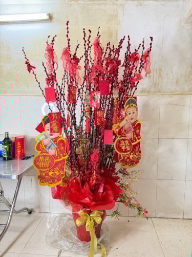 ដើមឈើសែនចូលឆ្នាំចិន ទិញមកអត់មានកន្លែងទុកលក់ខាតវិញ មួយដេីម 30$