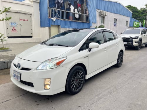 010 option 3Sola ក្នុងស