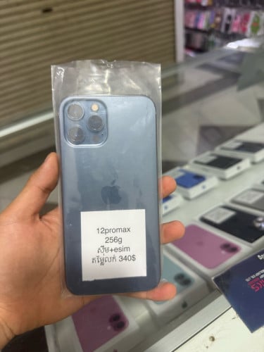 12Promax 256G zin all