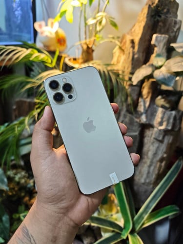 iPhone 12 Pro Max/LLA/512G/