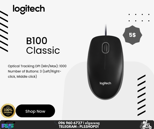 Logitech Mouse B100