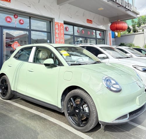 ORA GOOD CAT មានស្តុកទិញភ្លាម បានភ្លាម