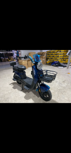 ស្ដុត ថ្មី