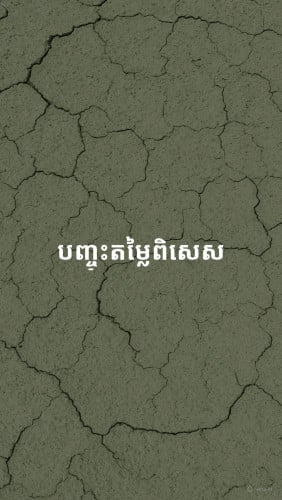 បញ្ចុះតម្លៃពិសេស