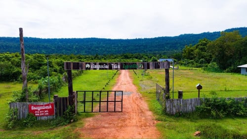 រីស៊តអារ៉ែងលក់តំលៃល្អខ្លាំង