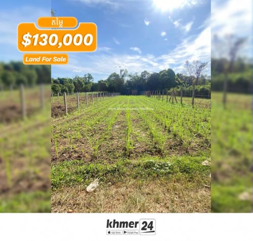 ដីលក់អរិយក្សត្រ ទំហំ 11m x 65m