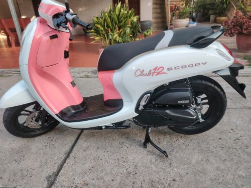 ស្កុបព2024